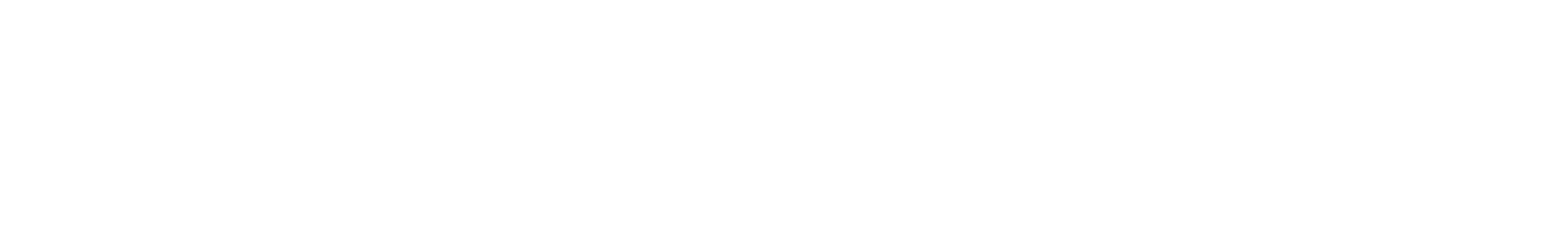 Denaris Capital